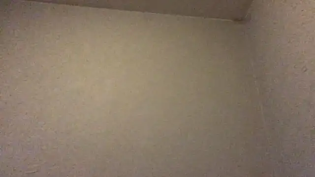 mondo29 online show from February 27, 2025, 2:54 pm