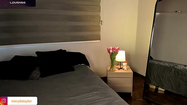 Snapshot of MERIDA_TAYLOR chatting on February 28, 2026, 1:22 pm MERIDA TAYLOR online show from February 28, 2026, 1:22 pm