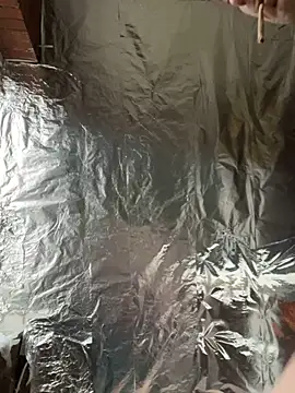 Snapshot of rexflexxx chatting on March 7, 2025, 4:44 pm rexflexxx online show from March 7, 2025, 4:44 pm