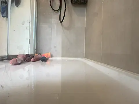 Snapshot of angelus112 chatting on March 29, 2026, 3:57 pm angelus112 online show from March 29, 2026, 3:57 pm