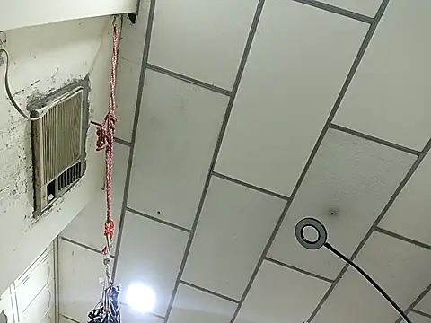 Snapshot of DanelyLopez chatting on February 2, 2026, 2:43 am DanelyLopez online show from February 2, 2026, 2:43 am