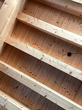 Fellix online show from January 7, 2026, 11:15 am