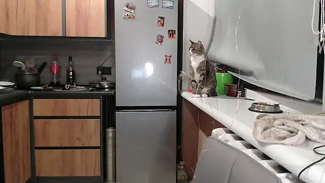 Snapshot of delightful_sofi chatting on October 7, 2025, 5:47 pm delightful sofi online show from October 7, 2025, 5:47 pm