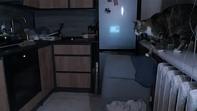 delightful sofi online show from March 17, 2026, 8:56 pm