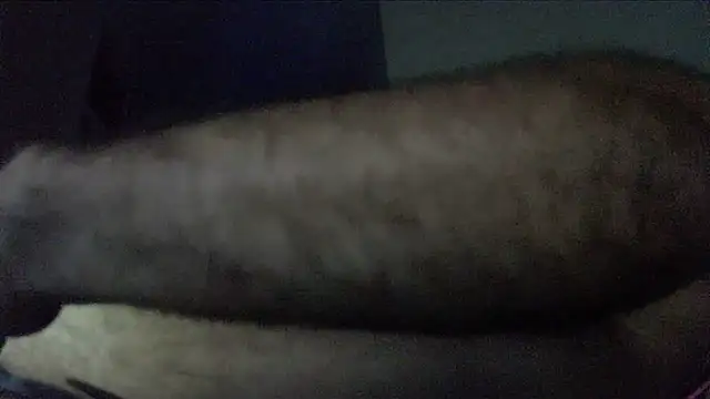 Snapshot of crazyslapper chatting on February 4, 2026, 10:54 am crazyslapper online show from February 4, 2026, 10:54 am