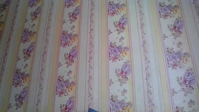 Skills  online show from December 5, 2024, 5:21 am