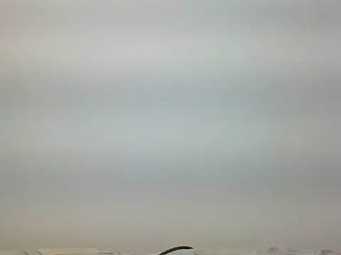 Snapshot of bigdickfuckuu chatting on September 22, 2025, 12:44 pm bigdickfuckuu online show from September 22, 2025, 12:44 pm