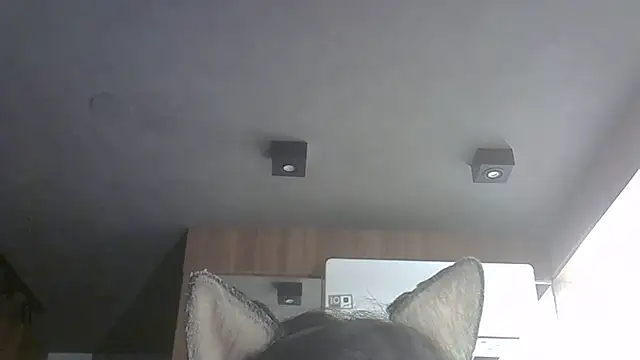 Skinny-Kitten online show from October 27, 2025, 6:58 am