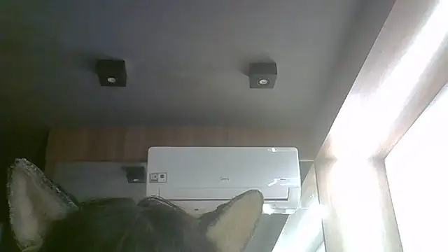 Skinny-Kitten online show from June 17, 2026, 3:44 pm