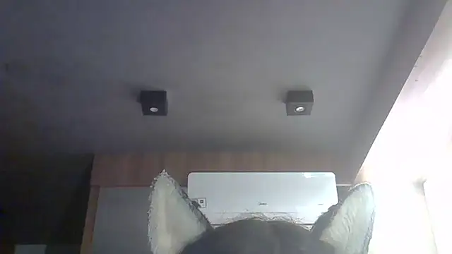 Skinny-Kitten online show from March 14, 2026, 9:26 am