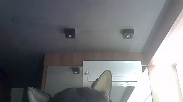 Skinny-Kitten online show from June 30, 2026, 12:10 am