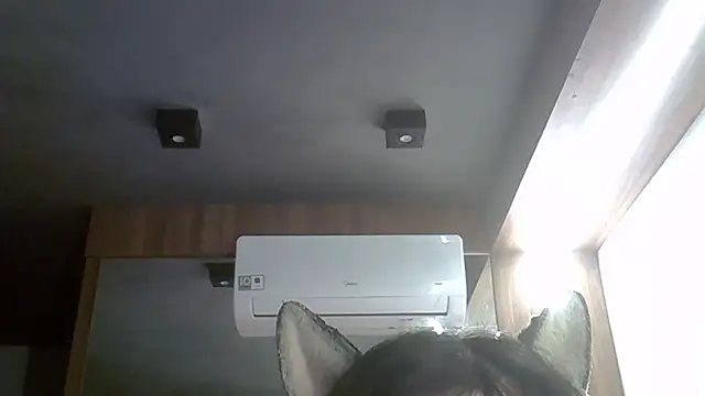 Skinny-Kitten online show from April 3, 2026, 9:38 am