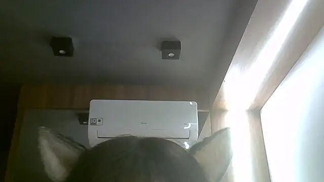 Skinny-Kitten online show from June 16, 2026, 8:47 am