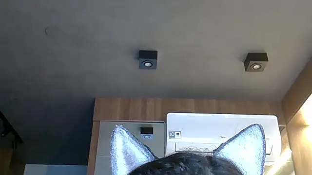 Skinny-Kitten online show from October 28, 2025, 5:34 pm