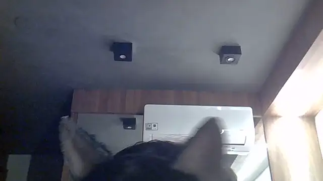Skinny-Kitten online show from July 12, 2026, 7:42 am