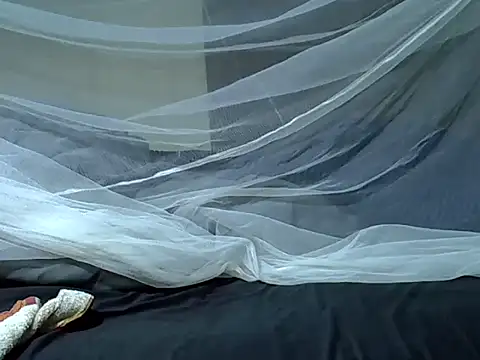 Leebwoy20 online show from February 4, 2026, 11:55 pm