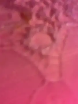 Snapshot of ThICk_JuIcEy chatting on January 8, 2026, 8:42 am ThICk JuIcEy online show from January 8, 2026, 8:42 am