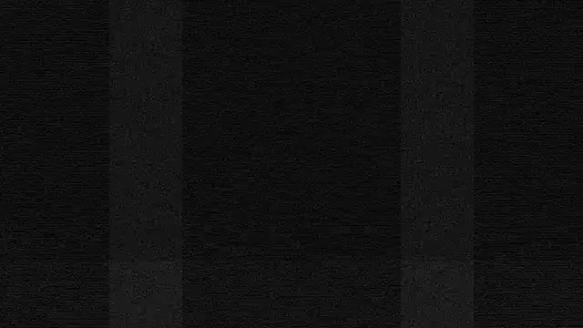 terrybare online show from October 16, 2025, 2:03 pm