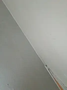 Stomps33 online show from February 5, 2026, 11:00 pm