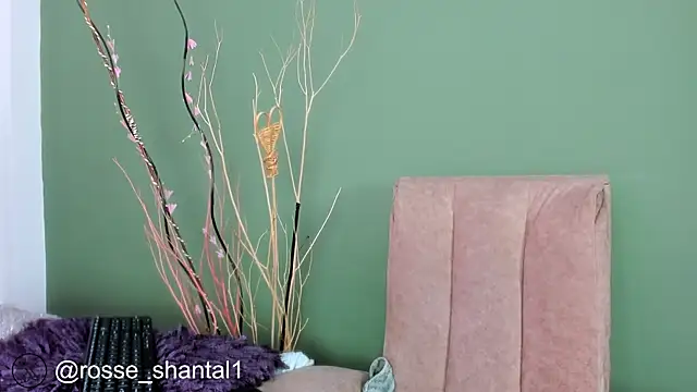 Snapshot of shantal_rosse1 chatting on November 10, 2025, 1:49 pm shantal rosse1 online show from November 10, 2025, 1:49 pm
