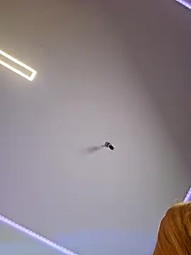 LessiaMia online show from April 4, 2026, 7:53 pm