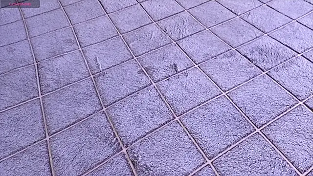 viviann evans online show from January 13, 2026, 12:58 am