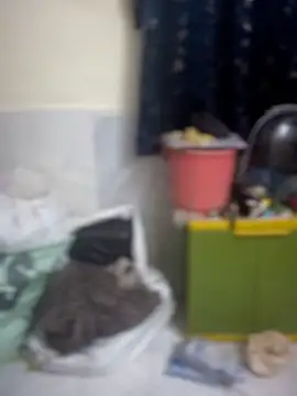 PARI Hun online show from April 9, 2026, 12:11 pm