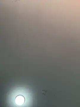 Snapshot of _alabina_ chatting on February 5, 2026, 1:29 pm alabina online show from February 5, 2026, 1:29 pm