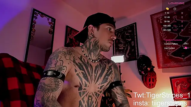 TigerStripes1  online show from March 27, 2026, 10:27 am