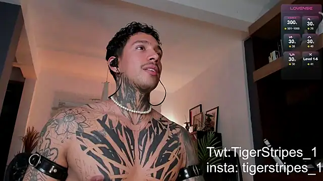 TigerStripes1  online show from February 24, 2025, 11:19 pm