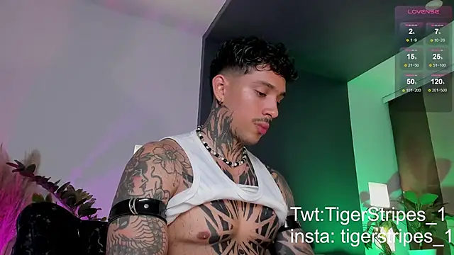 TigerStripes1  online show from March 22, 2025, 12:39 am