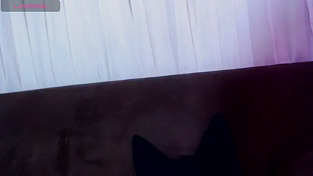 AlissonnFoxx online show from June 2, 2026, 12:21 am