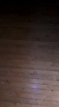 aliosa23 online show from January 21, 2025, 2:37 pm