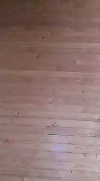 aliosa23 online show from January 21, 2025, 11:35 am