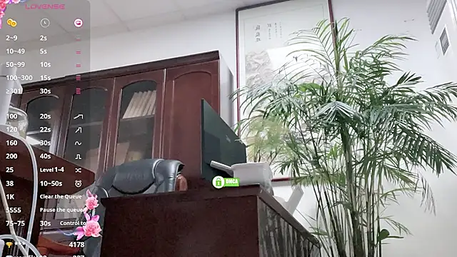 Oo Kaixin oO online show from June 11, 2026, 2:53 am